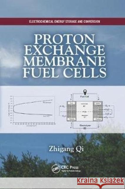 Proton Exchange Membrane Fuel Cells Qi, Zhigang (Wuhan Intepower Fuel Cells Co., Ltd, Hubei, China) 9781138075115 Electrochemical Energy Storage and Conversion