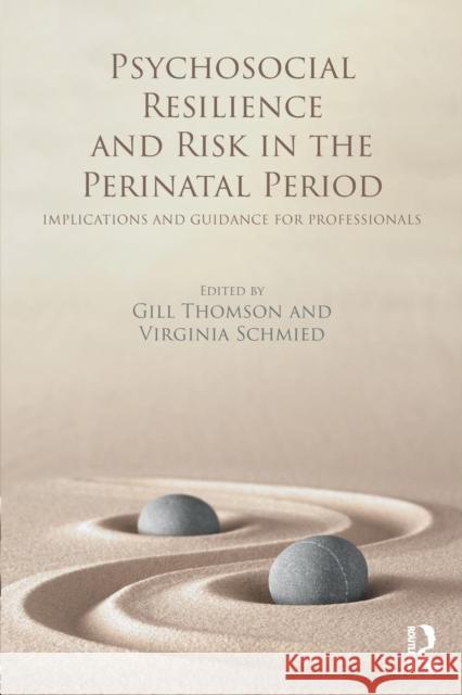 Psychosocial Resilience and Risk in the Perinatal Period: Implications and Guidance for Professionals Gill Thomson Virginia Schmied 9781138101586 Routledge