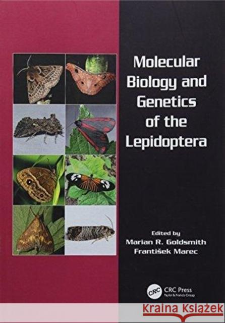 Molecular Biology and Genetics of the Lepidoptera Marian R. Goldsmith (University of Rhode Frantisek Marec (Institute of Entomology  9781138111721