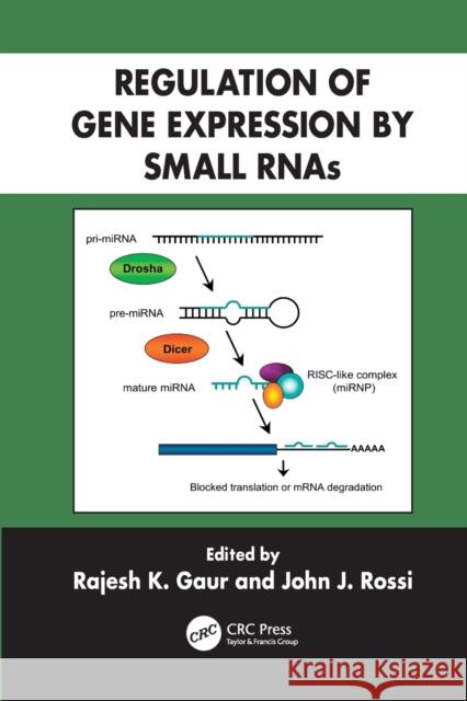 Regulation of Gene Expression by Small Rnas Rajesh K. Gaur (Beckman Research Institu John J. Rossi (Beckman Research Institut  9781138111738