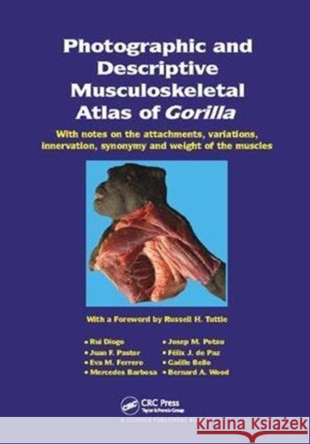 Photographic and Descriptive Musculoskeletal Atlas of Gorilla: With Notes on the Attachments, Variations, Innervation, Synonymy and Weight of the Muscles Rui Diogo (Howard University, Washington, District of Columbia, USA), Josep M. Potau, Juan F. Pastor (Universidad de Val 9781138113237 Taylor & Francis Ltd