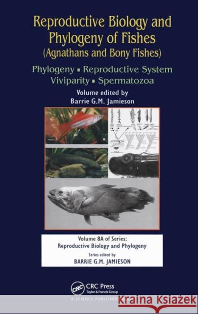 Reproductive Biology and Phylogeny of Fishes (Agnathans and Bony Fishes): Phylogeny, Reproductive System, Viviparity, Spermatozoa Barrie G M Jamieson 9781138113367 Taylor & Francis (ML)