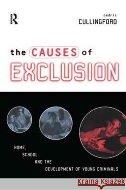 The Causes of Exclusion Professor Cedric Cullingford   9781138180161