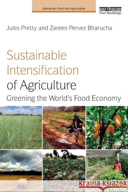 Sustainable Intensification of Agriculture: Greening the World's Food Economy Jules N. Pretty Zareen Perve 9781138196025 Routledge