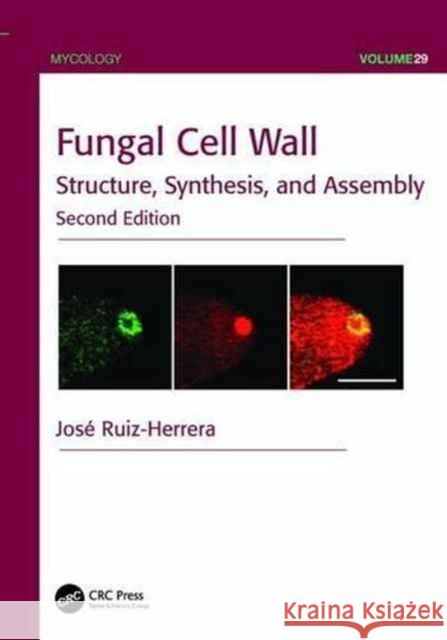 Fungal Cell Wall: Structure, Synthesis, and Assembly, Second Edition Jose Ruiz-Herrera 9781138198609