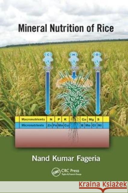 Mineral Nutrition of Rice. Nand Kumar Fageria N. K. Fageria 9781138198869 CRC Press