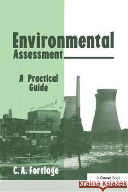 Environmental Assessment: A Practical Guide C. A. Fortlage 9781138254817 Routledge