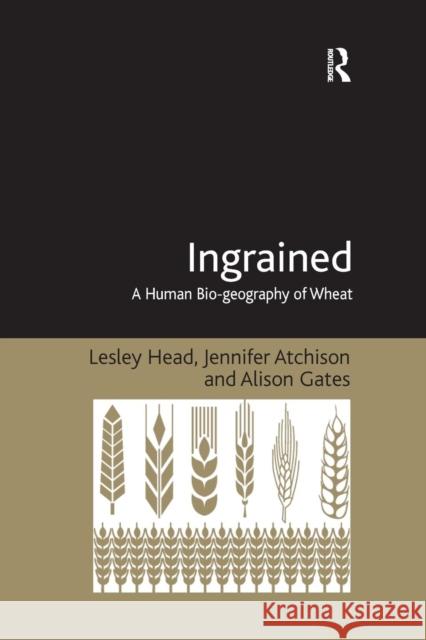 Ingrained: A Human Bio-geography of Wheat Head, Lesley 9781138261662 Routledge