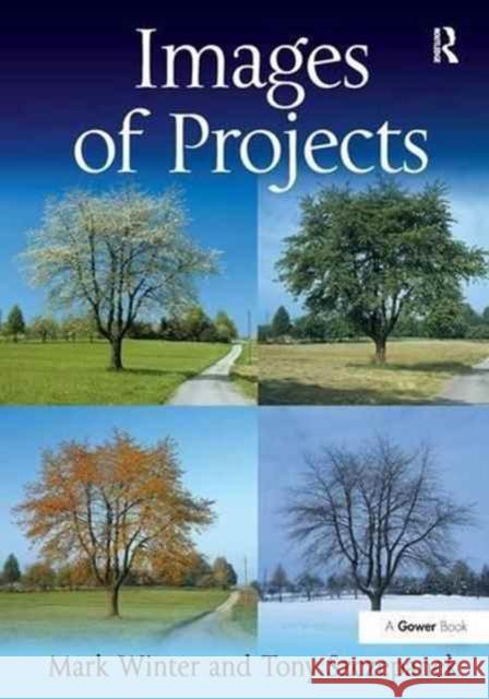 Images of Projects  9781138270947 Routledge