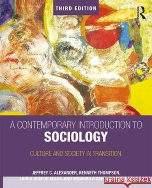 A Contemporary Introduction to Sociology: Culture and Society in Transition Jeffrey C. Alexander Kenneth Thompson Laura Desfor Edles 9781138282049 Routledge