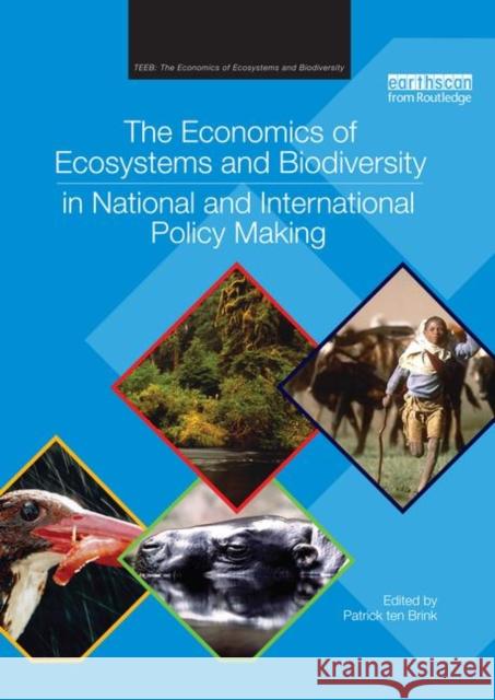 The Economics of Ecosystems and Biodiversity in National and International Policy Making Patrick Te 9781138327900 Routledge
