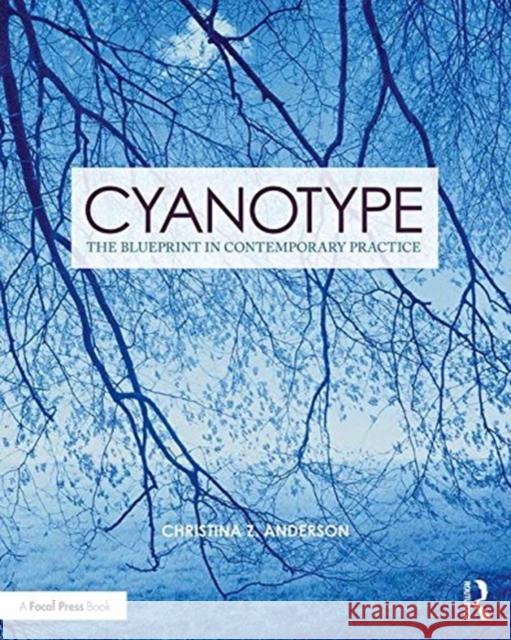 Cyanotype: The Blueprint in Contemporary Practice Christina Z. Anderson 9781138338838