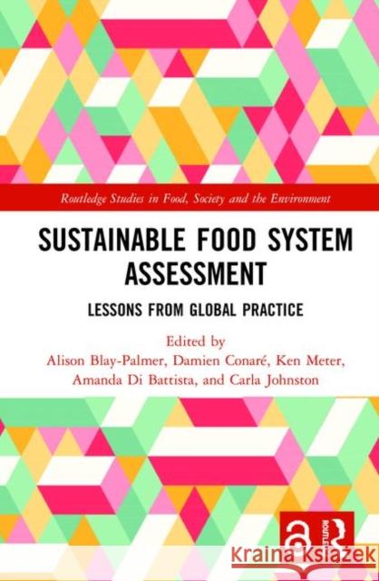 Sustainable Food System Assessment: Lessons from Global Practice Blay-Palmer, Alison 9781138341951