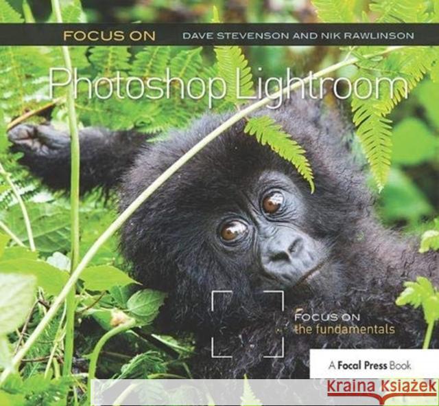 Focus on Photoshop Lightroom: Focus on the Fundamentals Stevenson, Dave 9781138372269