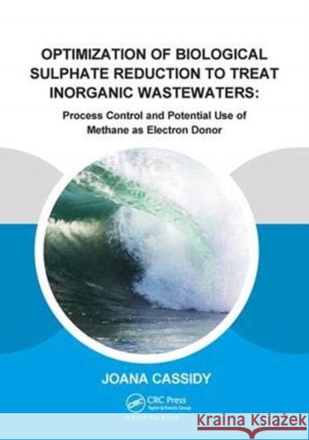 Optimization of Biological Sulphate Reduction to Treat Inorganic Wastewaters: Process Control and Potential Use of Methane as Electron Donor Cassidy, Joana 9781138373440 Taylor and Francis