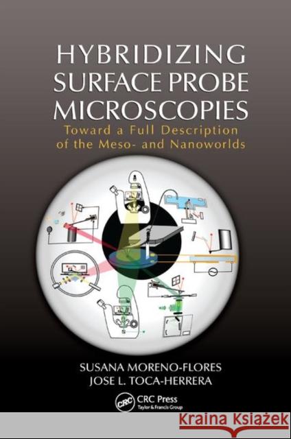 Hybridizing Surface Probe Microscopies: Toward a Full Description of the Meso- And Nanoworlds Moreno-Flores, Susana 9781138374584