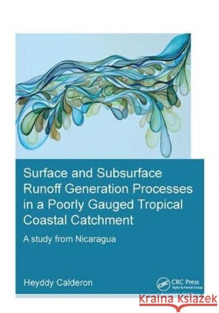 Surface and Subsurface Runoff Generation Processes in a Poorly Gauged Tropical Coastal Catchment: A Study from Nicaragua Calderon Palma, Heyddy 9781138381629 Taylor and Francis
