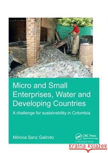 Micro and Small Enterprises, Water and Developing Countries: A Challenge for Sustainability in Colombia Sanz Galindo, Gloria Ana María Mónica 9781138381636 Taylor and Francis