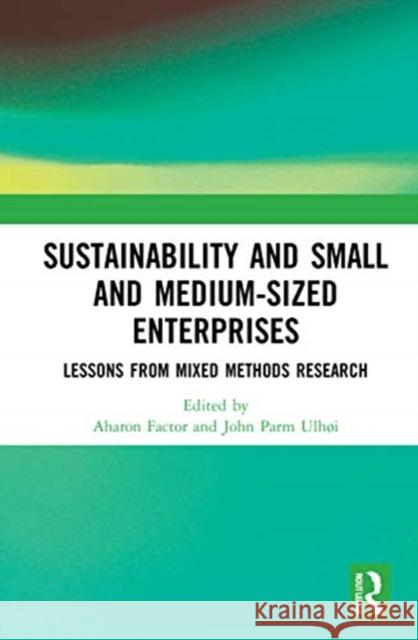 Sustainability and Small and Medium-Sized Enterprises: Lessons from Mixed Methods Research Factor, Aharon 9781138387270 Routledge