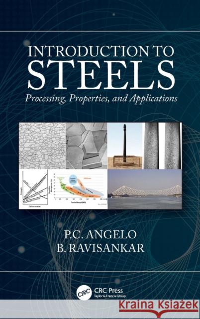 Introduction to Steels: Processing, Properties, and Applications P. C. Angelo B. Ravisankar 9781138389991