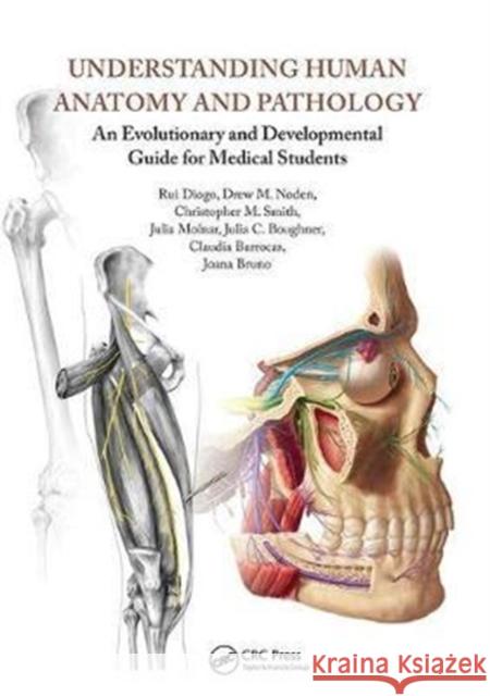 Understanding Human Anatomy and Pathology: An Evolutionary and Developmental Guide for Medical Students Diogo, Rui 9781138402584 Taylor and Francis