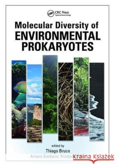 Molecular Diversity of Environmental Prokaryotes Thiago Bruce Rodrigues (Faculdade de Tecnologia e Ciências, Salvador, Brazil), Amaro Emiliano Trindade Silva (Universida 9781138407077 Taylor & Francis Ltd