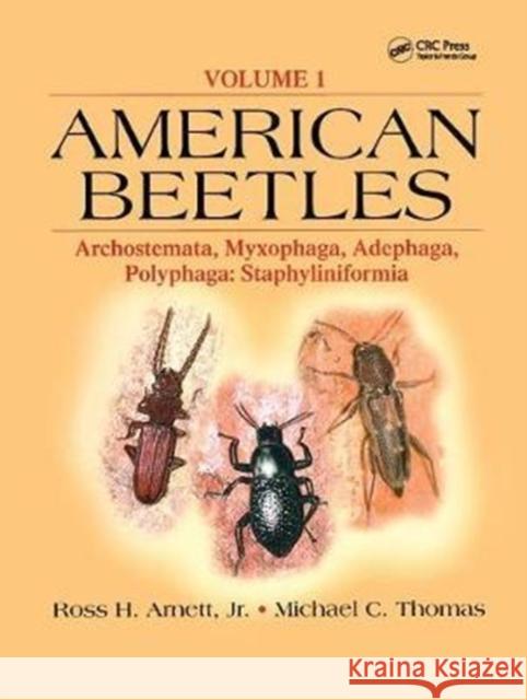 American Beetles, Volume I: Archostemata, Myxophaga, Adephaga, Polyphaga: Staphyliniformia  9781138407091 Taylor and Francis