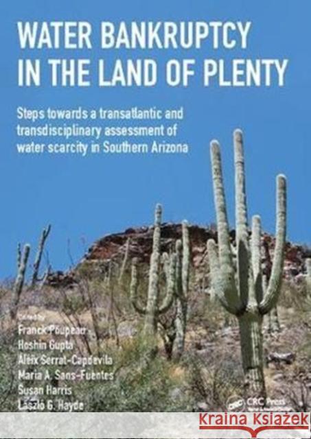 Water Bankruptcy in the Land of Plenty Franck Poupeau 9781138418653 CRC Press