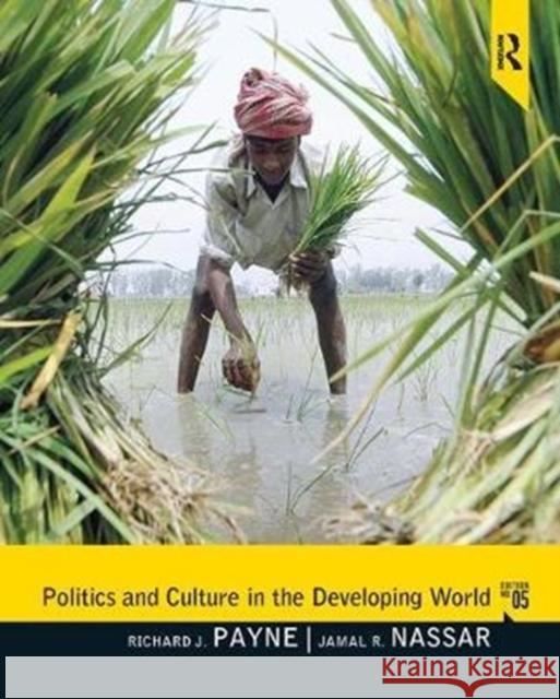Politics and Culture in the Developing World Richard Payne 9781138430631