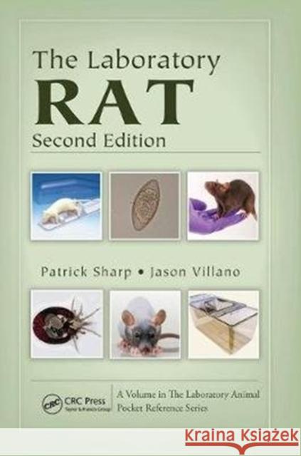 The Laboratory Rat Patrick Sharp 9781138437210