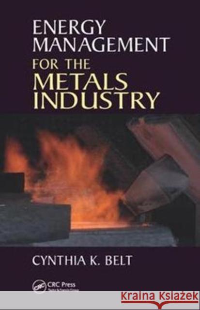 Energy Management for the Metals Industry Cynthia K. Belt 9781138441484 CRC Press