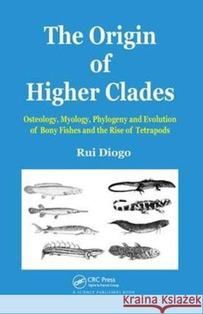 The Origin of Higher Clades: Osteology, Myology, Phylogeny and Evolution of Bony Fishes and the Rise of Tetrapods Diogo, Rui 9781138453555 Taylor and Francis