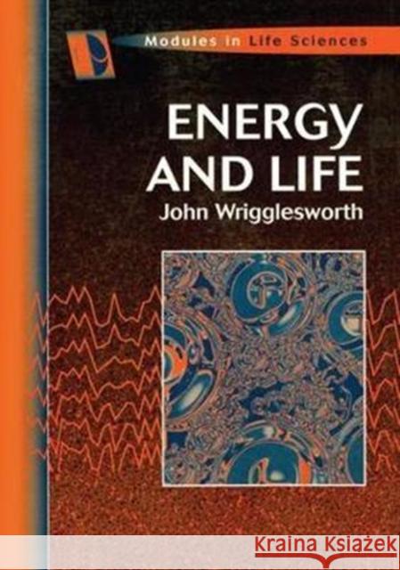 Energy and Life Wrigglesworth, John M. 9781138461895