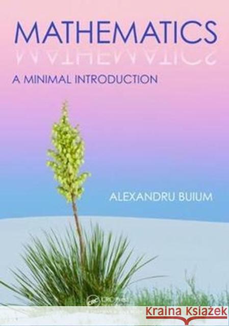 Mathematics: A Minimal Introduction Buium, Alexandru 9781138466845 Taylor and Francis