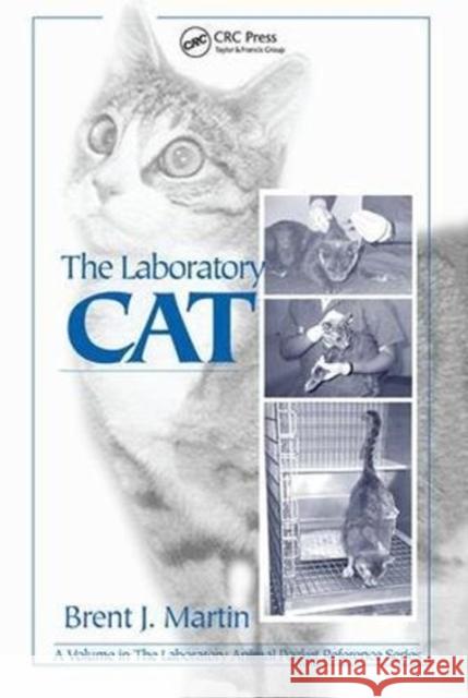 The Laboratory Cat Brent J. Martin 9781138471351 Taylor & Francis (ML)