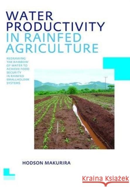 Water Productivity in Rainfed Agriculture: Unesco-Ihe PhD Thesis Hodson Makurira 9781138474598 CRC Press