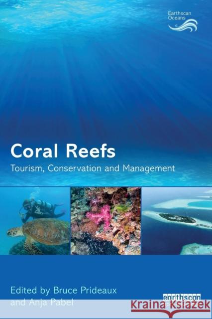 Coral Reefs: Tourism, Conservation and Management Bruce Prideaux Anja Pabel 9781138497313 Routledge