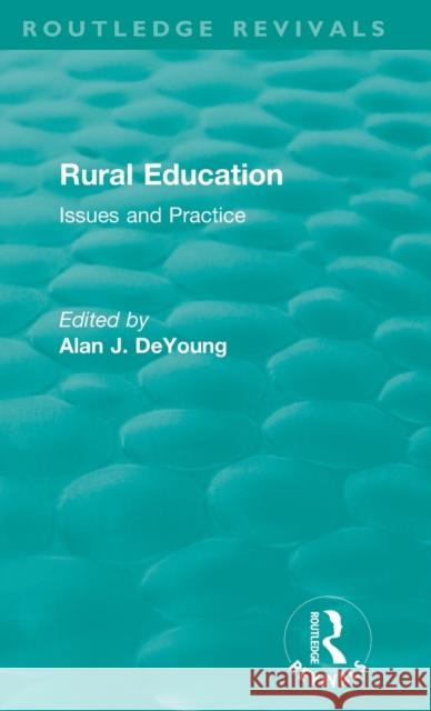 Rural Education (1991): Issues and Practice DeYoung Alan 9781138501188