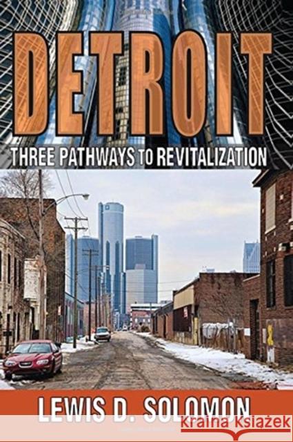 Detroit: Three Pathways to Revitalization Lewis D. Solomon 9781138509153