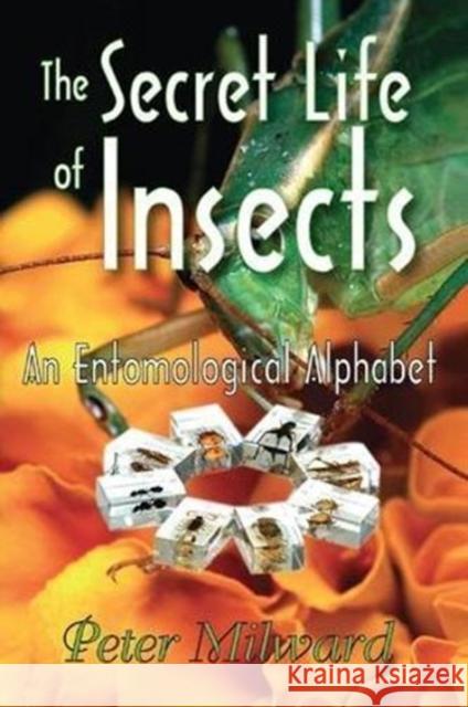 The Secret Life of Insects: An Entomological Alphabet Peter Milward 9781138516854