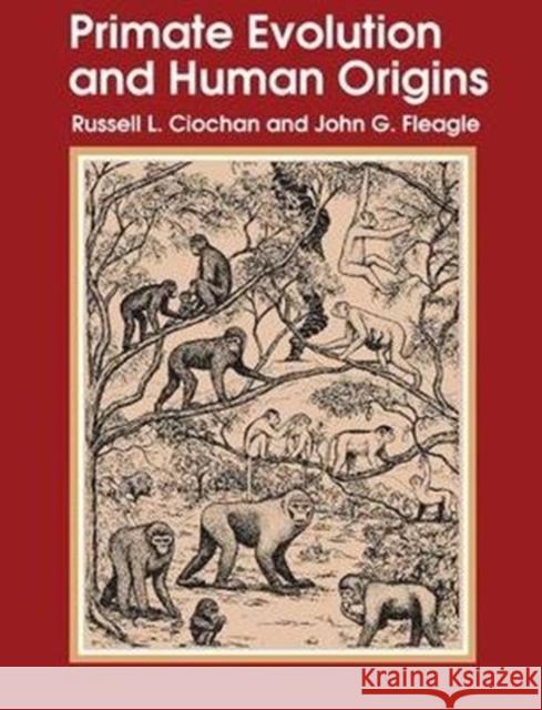 Primate Evolution and Human Origins Russell L. Ciochon 9781138530737