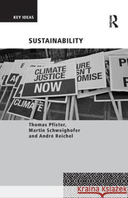 Sustainability Thomas Pfister Martin Schweighofer Andre Reichel 9781138546356