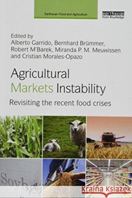Agricultural Markets Instability: Revisiting the Recent Food Crises Alberto Garrido Bernhard Brummer Robert M'Barek 9781138588943 Routledge