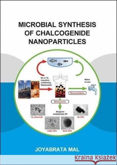 Microbial Synthesis of Chalcogenide Nanoparticles: Combining Bioremediation and Biorecovery of Chalcogen in the Form of Chalcogenide Nanoparticles Joyabrata Mal 9781138600423 CRC Press