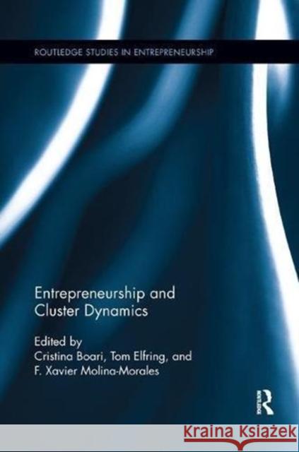 Entrepreneurship and Cluster Dynamics Cristina Boari Tom Elfring Xavier F. Molina-Morales 9781138617025 Routledge