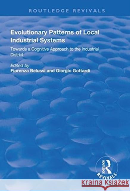 Evolutionary Patterns of Local Industrial Systems: Towards a Cognitive Approach to the Industrial District Belussi, Fiorenza 9781138625532 Routledge