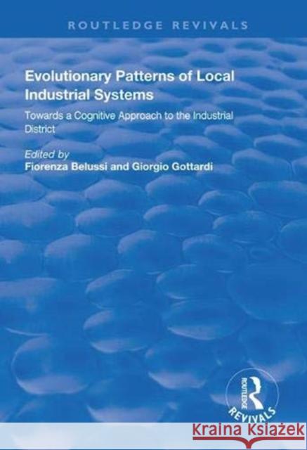 Evolutionary Patterns of Local Industrial Systems: Towards a Cognitive Approach to the Industrial District Belussi, Fiorenza 9781138625556 Routledge