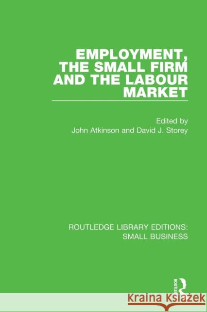 Employment, the Small Firm and the Labour Market John Atkinson David J. Storey 9781138676282 Routledge