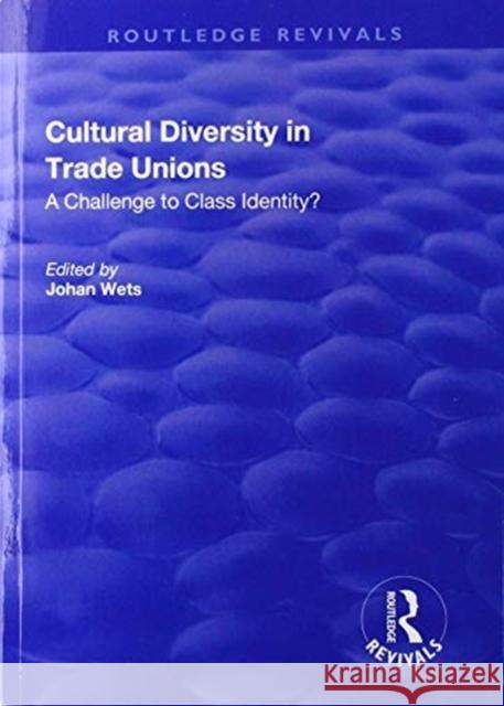 Cultural Diversity in Trade Unions: A Challenge to Class Identity? Johan Wets 9781138715660