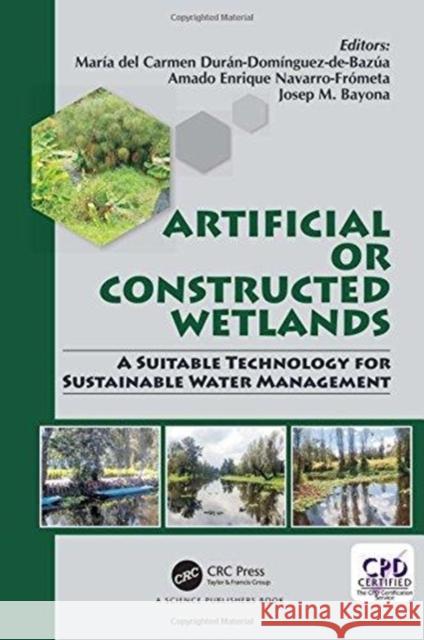 Artificial or Constructed Wetlands: A Suitable Technology for Sustainable Water Management Maria-del-Carm Duran-Dominguez-de-Bazua Amado Enrique Navarr Josep Maria Bayon 9781138739185 CRC Press